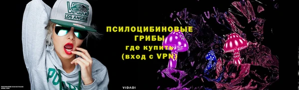 гидра Арсеньев