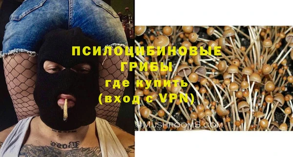 МДПВ Аркадак