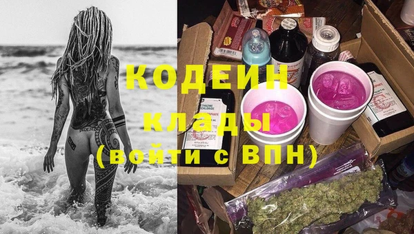 гидра Арсеньев