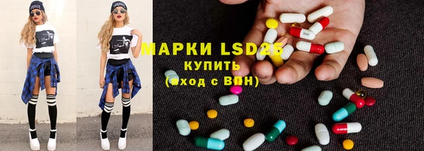 гидра Арсеньев