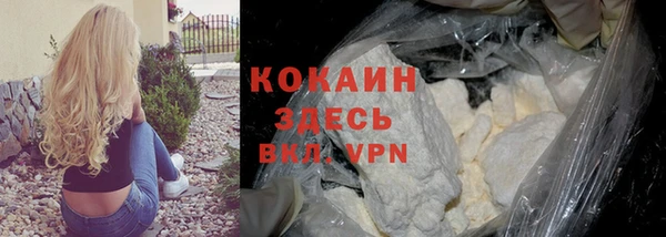 стафф Ростов
