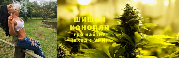 трава Рославль