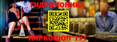 spice Заводоуковск