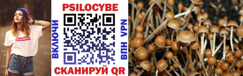 Псилоцибиновые грибы мухоморы  цена наркотик  MEGA ТОР  Гуково 