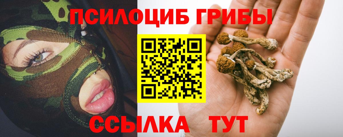 Гуково  даркнет сайт  Вход с VPN  Галлюциногенные грибы GOLDEN TEACHER 