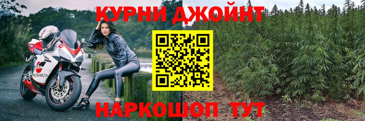 Шишки марихуана планчик  Вход с VPN  МАРИХУАНА SATIVA & INDICA  Марихуана THC 21%  Гуково 
